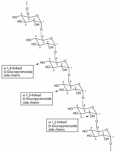 General structure of class 1 dextrans consisting