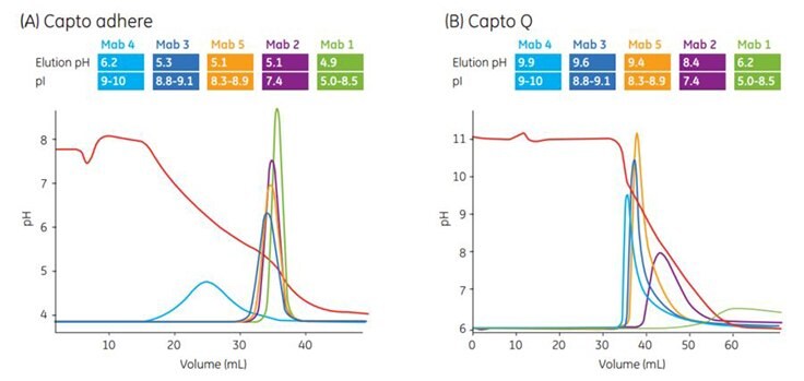 Different selectivity of Capto adhere compared with traditional ion exchangers