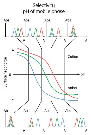 Effect of pH on protein elution patterns. Effect of pH on protein elution patterns