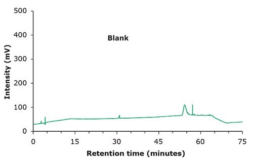 Chromatographic data – blank solution.