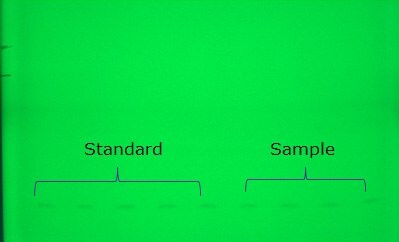 TLC plate development