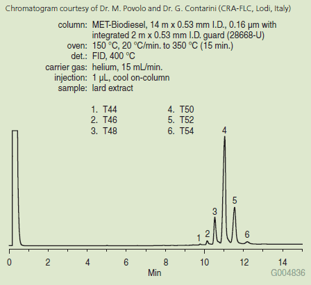 lard-triglycerides