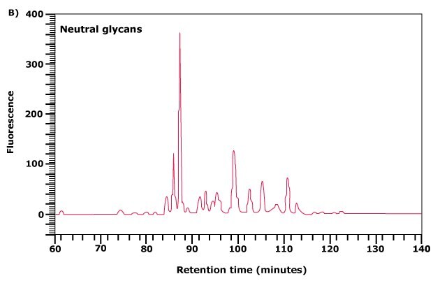 Further separation of the neutral glycan fraction from <b>(A)</b> by normal phase chromatography. Separation of neutral and acidic glycans of fetuin by weak anion-exchange chromatography