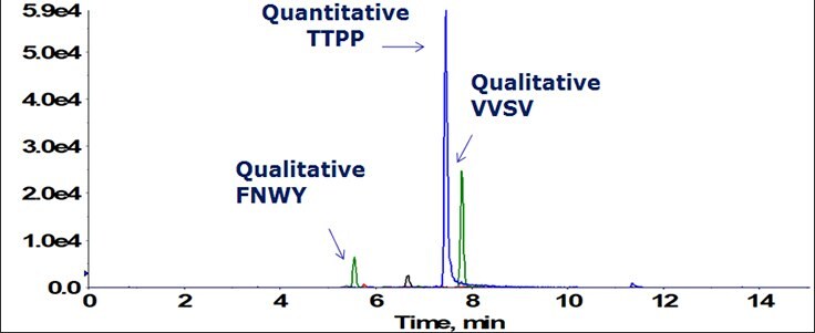 Total ion chromatogram of three selected signature peptides Total ion chromatogram of three selected signature peptides, one quantitative (TTPP) and two qualitative (VVSV and FNWY), used for universal analysis of IgG1 therapeutic drug antibodies in preclinical studies