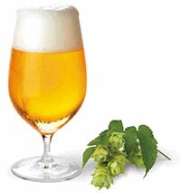 Beer Glass