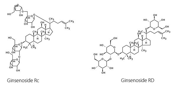 Chemical structures of the analyzed ginsenosides