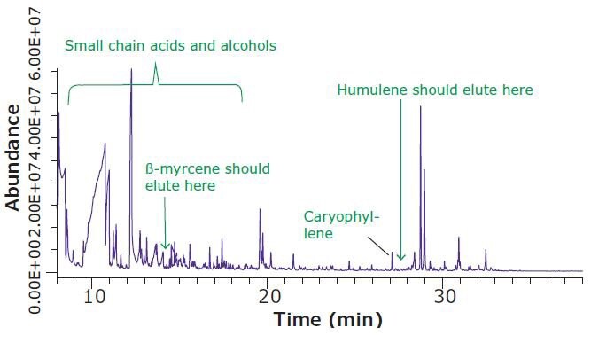 Headspace SPME-GC/MS Analysis of Dried Hops Flowers, Increased Sample Equilibration Temperature