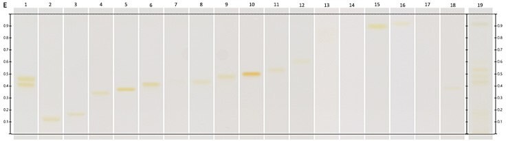 Chromatograms under UV