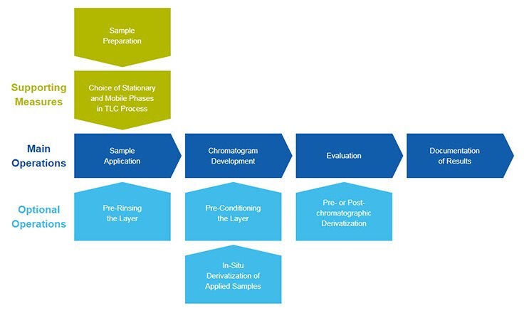 The diagram below illustrates the complete thin-layer chromatography process