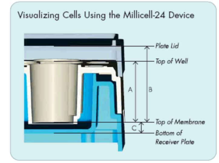 Visualizing Cells using the Millicell-24 Device