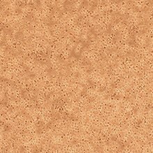 Human Mononuclear Cells – Periphery Blood (HMNC-PB) Human Mononuclear Cells – Periphery Blood