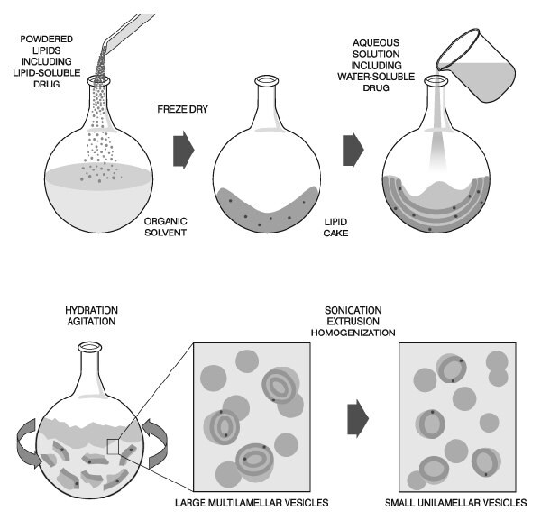 Preparation of Liposomes