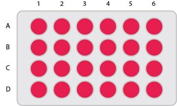 24-well-plate KitAlysis