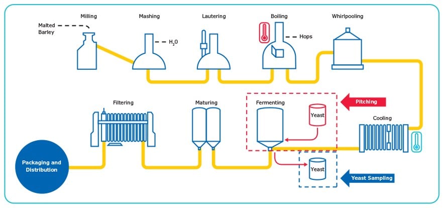 The Brewing Process.