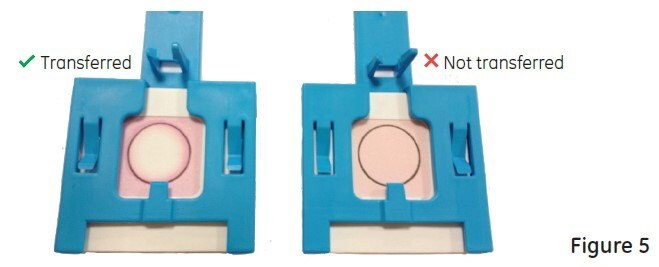 easicollect-transfer-not-transfer easicollect transfer not transfer