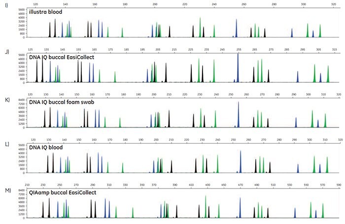 A-O. STR profiles of DNA extracted from FTA cards containing blood or buccal samples