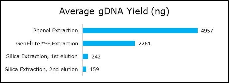 Plant DNA extraction, DNA purification, and quantification.