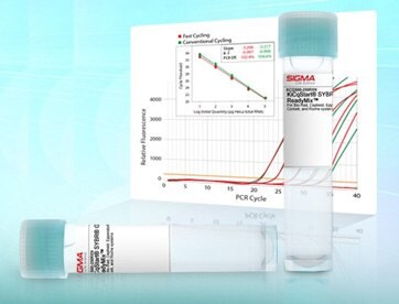 KiCqStart® SYBR® Green qPCR ReadyMix™