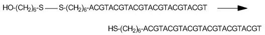 Example disulfide bond reduction of a 5'-Thiol-Modifier C6 S-S oligonucleotide.