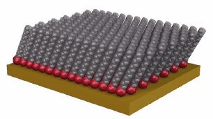 Schematic showing an ordered self-assembled monolayer of densely packed alkane thiols.