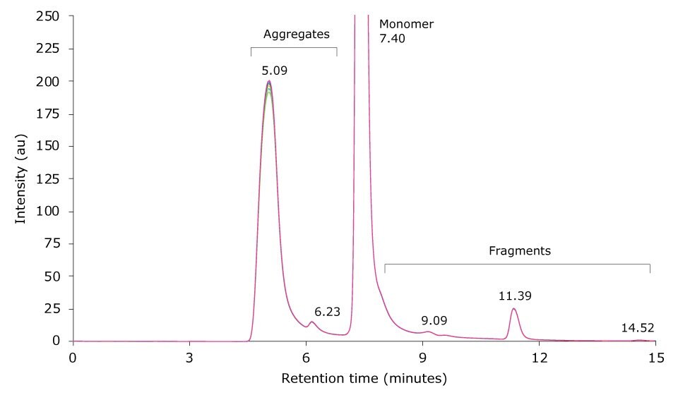 Overlay of SEC-UV traces of six consecutive runs of a mAb sample heat-stressed for 6 h at 60 °C  zoom-in.