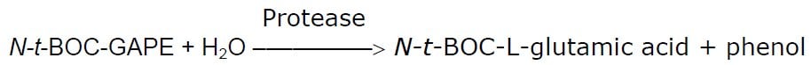 Protease Equation