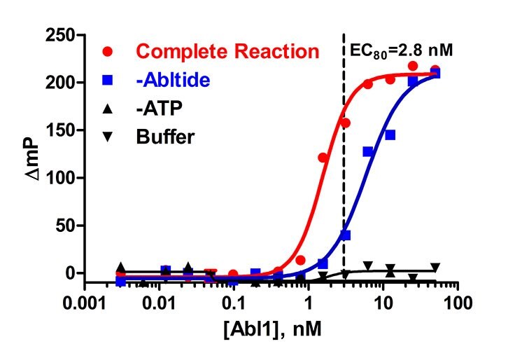 Figure 1. Abl1 enzyme titration in the presence of 5 μM ATP and 10 μM Abltide. A concentration (EC80) of 2.8 nM was determined to be optimal from this titration. The reaction was run in a kinase buffer (50 mM Tris (pH 7.5), 5 mM MgCl2, 0.01% Brij).