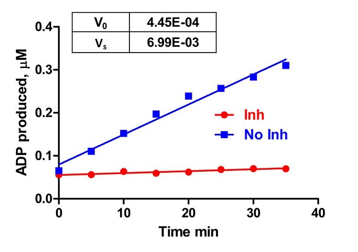 Enzyme velocity V0