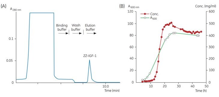 Chromatogram of a sample taken at one time point during fermentation