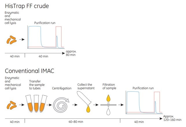 schematic of the protocol for HisTrap™ FF crude compared with conventional IMAC.