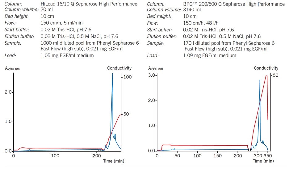 Elution pattern, purity and yield are maintained when scaling-up from a HiLoad column to a BPG column