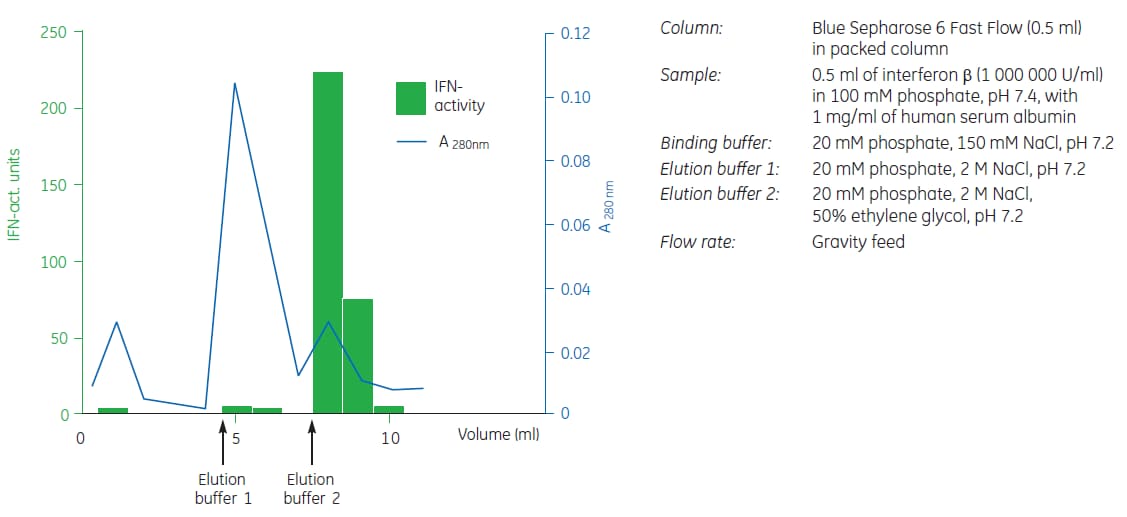 Purification of human serum albumin and interferon b on Blue Sepharose 6 Fast Flow