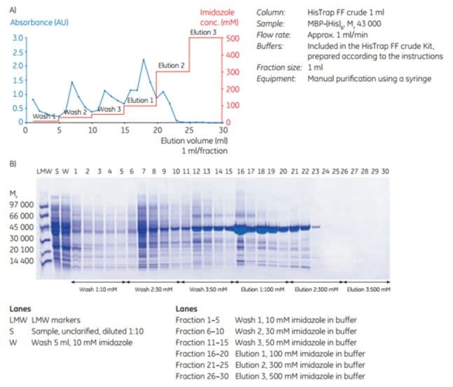 Puriﬁcation of MBP-(His)6 using HisTrap™ FF crude Kit.