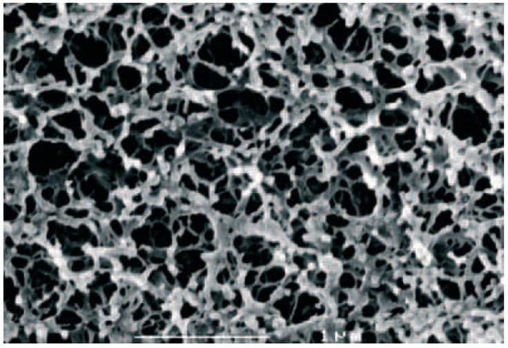 Structure of cross-linked agarose media