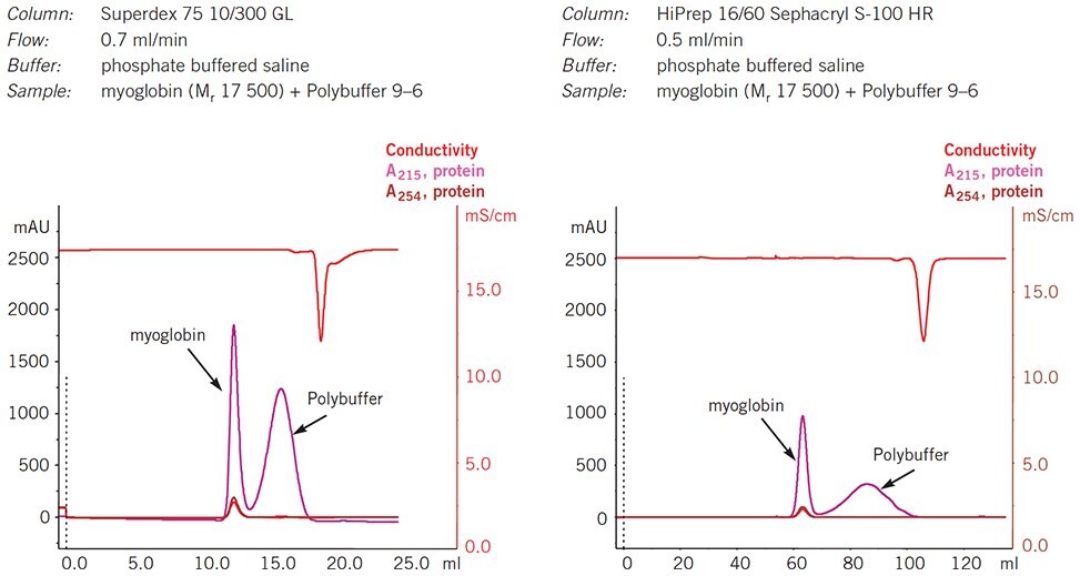 Separation of Polybuffer from protein using gel filtration