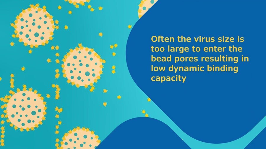 Intensified Virus Purification
