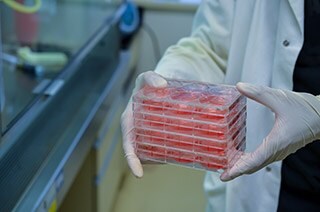 細胞環境(培地の構成成分) 細胞環境(培地の構成成分)