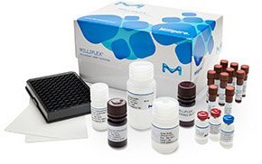 最適化された試薬 最適化された試薬