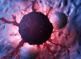 Cancer research Cancer research
