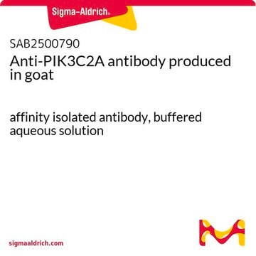 Anti-PIK3C2A antibody produced in goat affinity isolated antibody, buffered aqueous solution