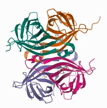 Streptavidin&#8722;Agarose from Streptomyces avidinii buffered aqueous suspension