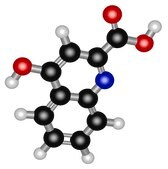 Kynurenic acid &#8805;98%
