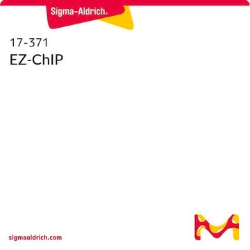 EZ-ChIP