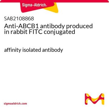 Anti-ABCB1 antibody produced in rabbit FITC conjugated affinity isolated antibody