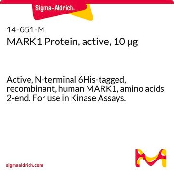 MARK1 Protein, active, 10 &#181;g Active, N-terminal 6His-tagged, recombinant, human MARK1, amino acids 2-end. For use in Kinase Assays.