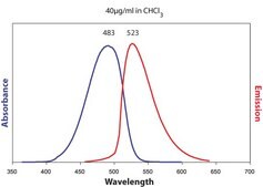 25-NBD Cholesterol Avanti Research&#8482; - A Croda Brand 810250C