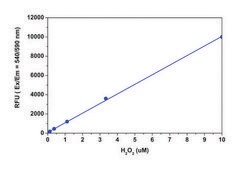 Fluorimetric Hydrogen Peroxide Assay Kit sufficient for 500&#160;fluorometric&nbsp;tests (red fluorescence)