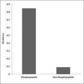 Anti-phospho-NMDAR1 (pSer897) antibody produced in rabbit affinity isolated antibody