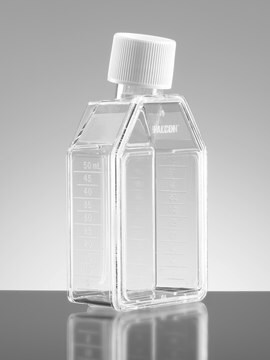 Corning&#174; Falcon&#174; Cell Culture Flask capacity 150&#160;mL, straight neck, graduated, 10 &#8209; 200&#160;mL, cap, blue plug seal