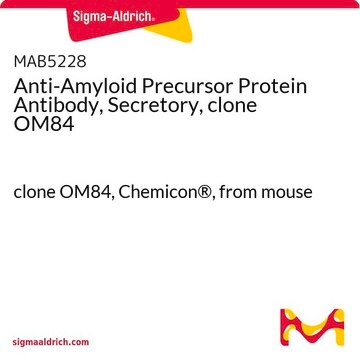 Anti-Amyloid Precursor Protein Antibody, Secretory, clone OM84 clone OM84, Chemicon&#174;, from mouse